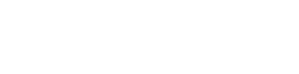 Servicefox Logo